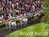 Culture Divine - Royal Ascot, Race Meeting - Ascot