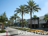 Culture Divine - Rodeo Drive, Luxury Shopping Street, Beverly Hills