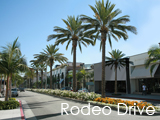 Culture Divine - Rodeo Drive, Luxury Shopping Street, Beverly Hills