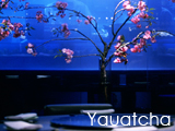 Culture Divine - Yauatcha, Dim Sum Teahouse - Soho